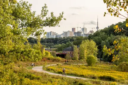 Evergreen Brick Works Farmers Market