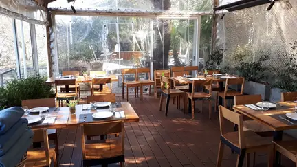 Restaurante Charco