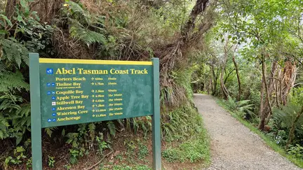 Panorama Track