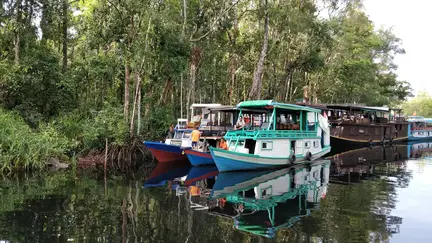 Camp Leakey