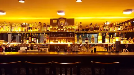 Bar da Dona Onça