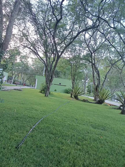 Parque do Bambu