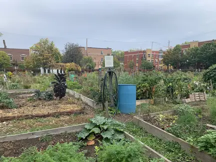 Mile End Community Garden