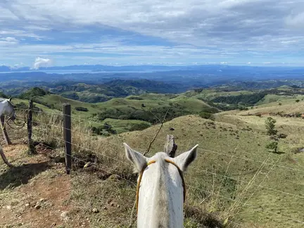 Blue Spirit Costa Rica