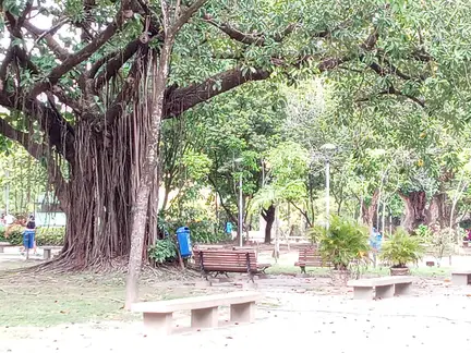 Parque da Jaqueira