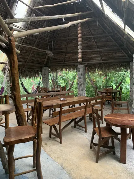 Bar La Jungla