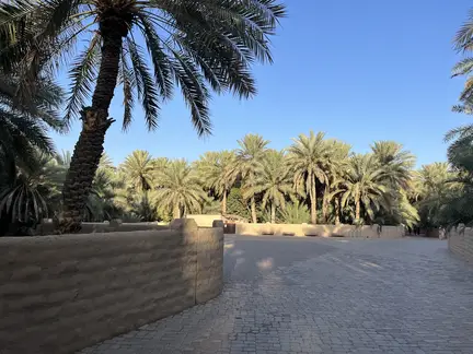 Al Ain Oasis Café
